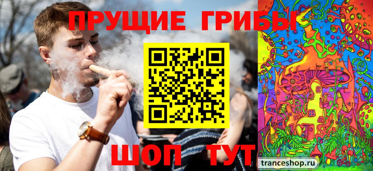 Медногорск  сколько стоит  Вход с VPN  Галлюциногенные грибы MAGIC MUSHROOMS 